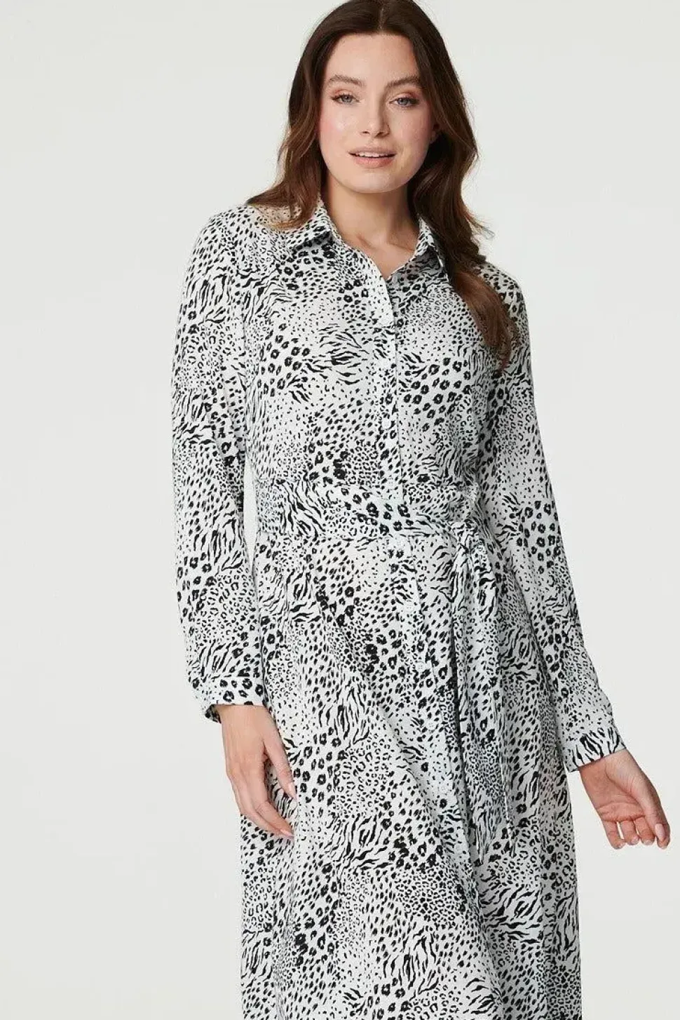Animal Print Collared Shirt Dress