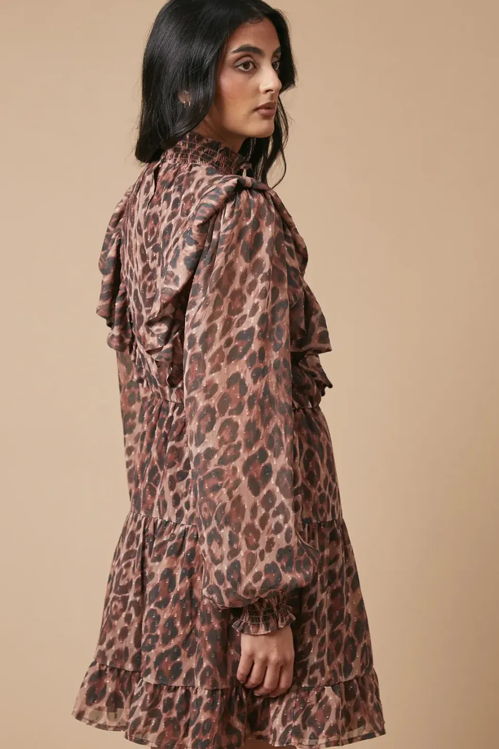 Animal Print Embroidered Dobby Chiffon Mini Dress