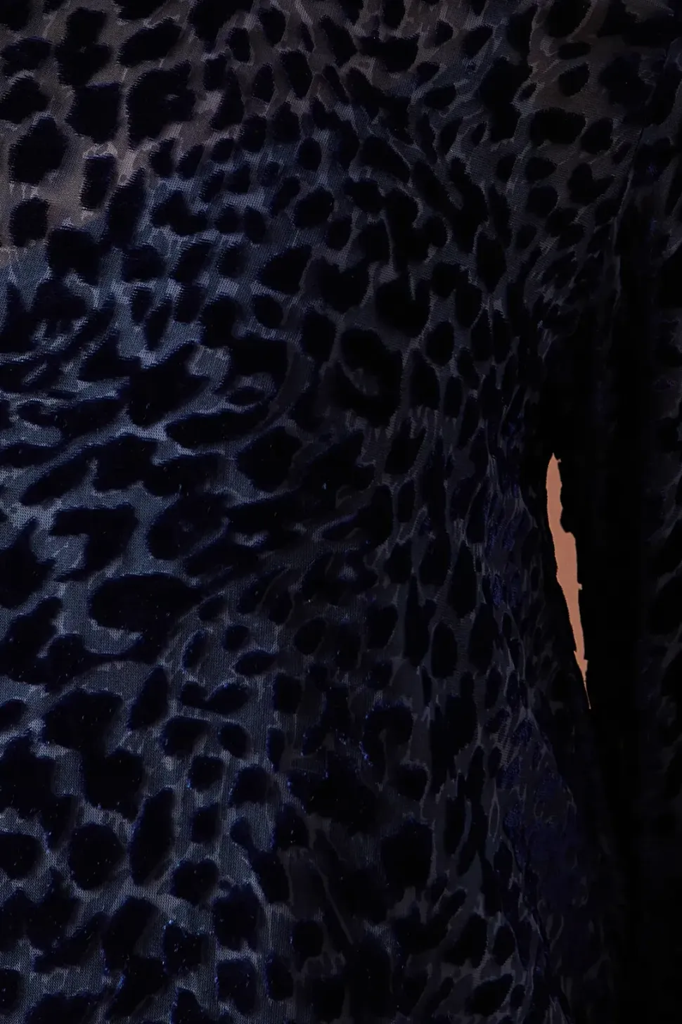 Animal Print Velvet Mini Dress