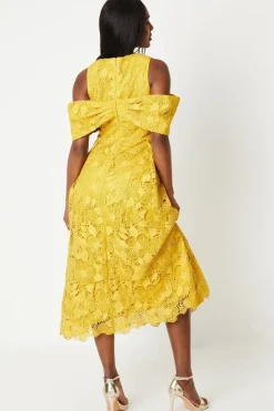 Bardot Panel Lace Midi Dress