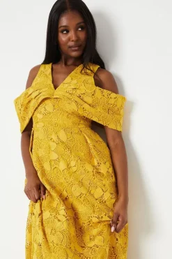 Bardot Panel Lace Midi Dress