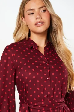 Berry Spot Shirt Dress