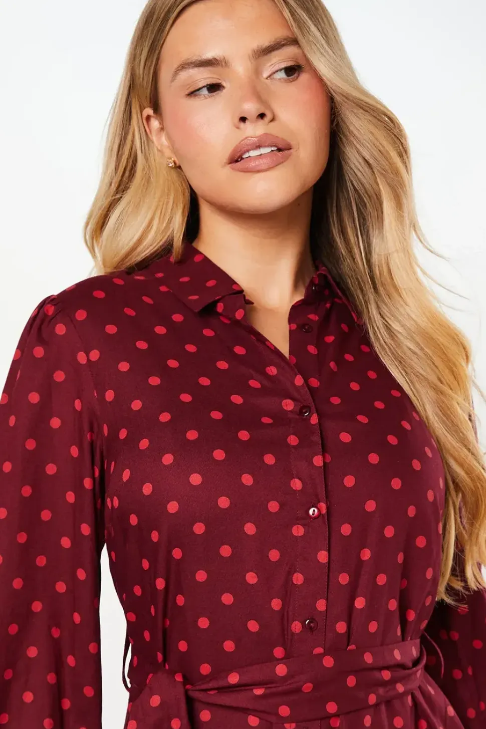 Berry Spot Shirt Dress