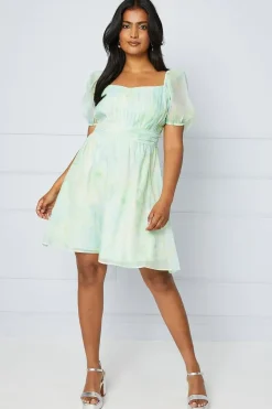Blurred Floral Ruched Bust Organza Mini Dress
