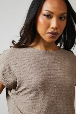 Brown Textured Jersey T -Shirt