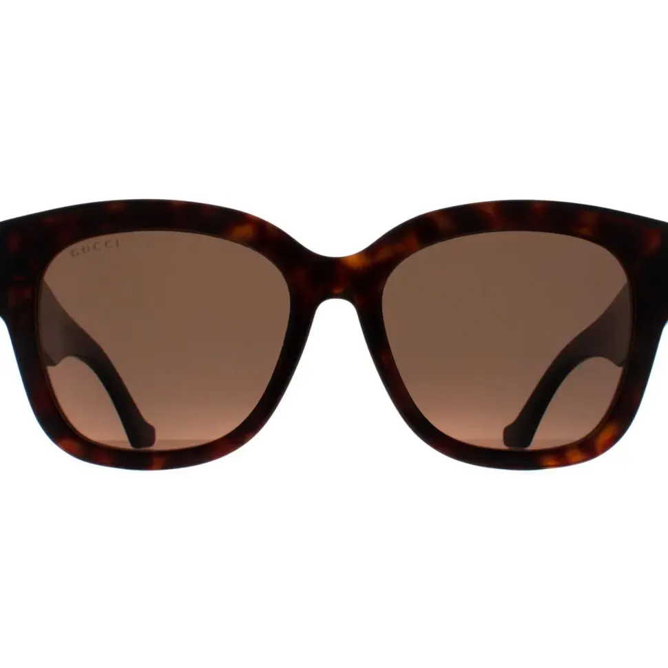 Butterfly Havana Brown GG1550SK