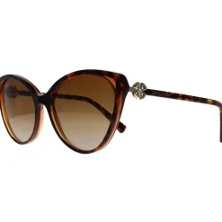 Cat Eye Havana Brown Transparent Brown Gradient Polarized BV8246B