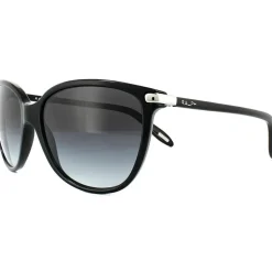 Cat Eye Shiny Black Grey Gradient RA5280