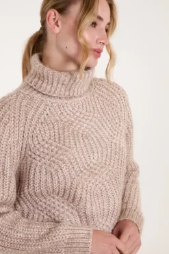 Chenille Roll Neck Knit Jumper