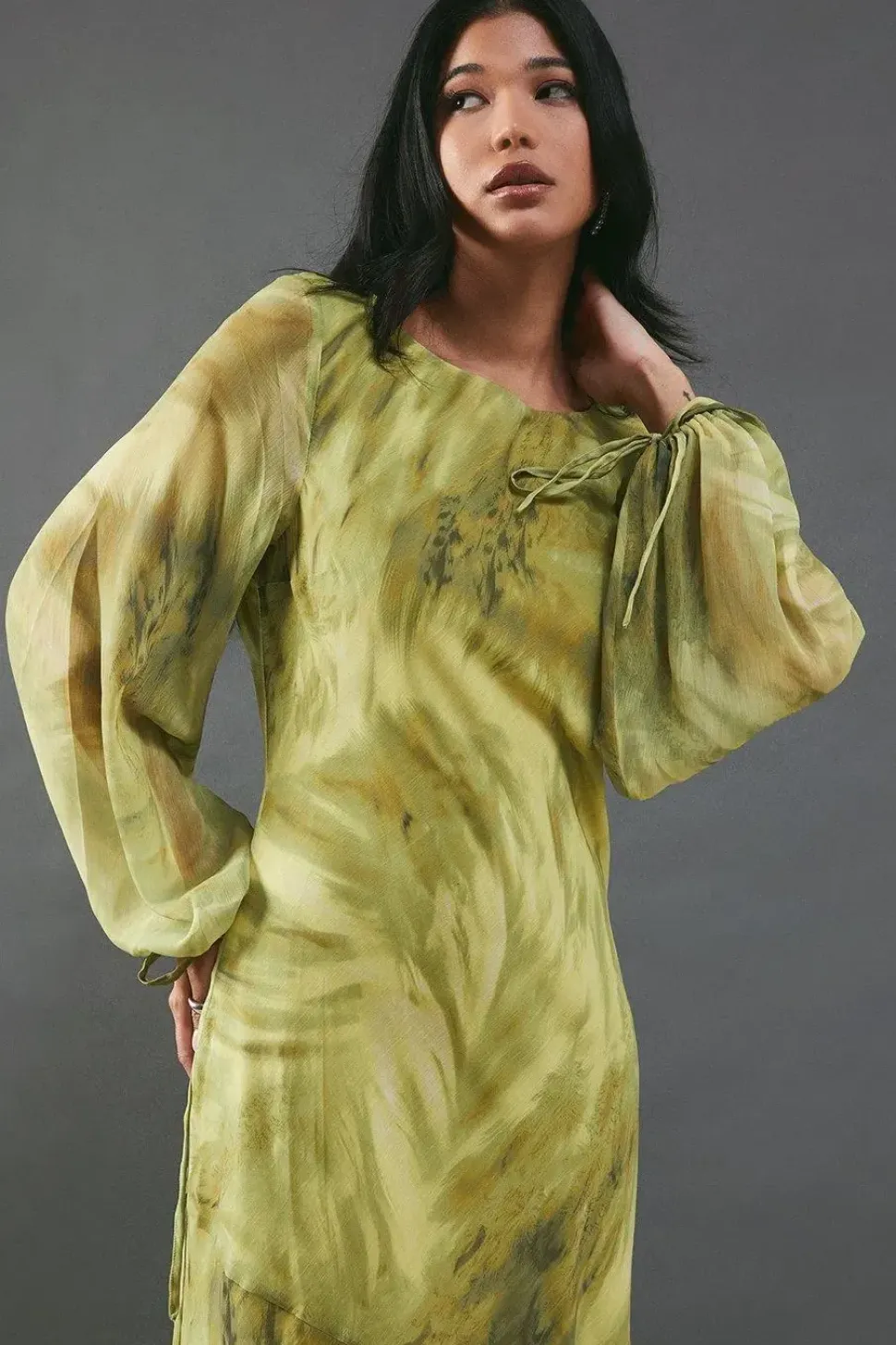 Chiffon Feather Print Volume Sleeve Maxi Dress