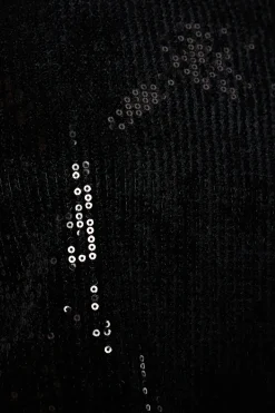 Chiffon Insert Sequin Top