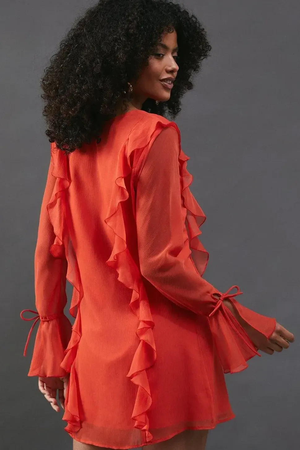Chiffon Ruffle Detail Tie Sleeve Mini Dress