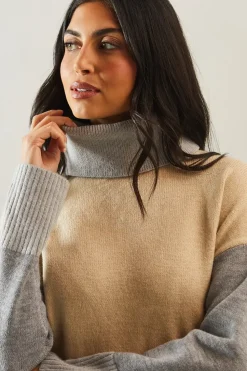 Colorblock Asymmetric Roll Neck Jumper