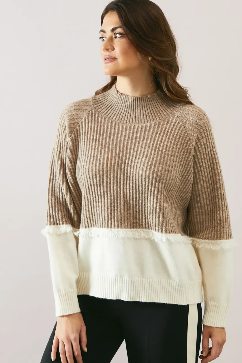 Colour Block Fringe Detail High Neck Jumper