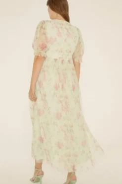 Curve Floral Button Detail Mesh Dress