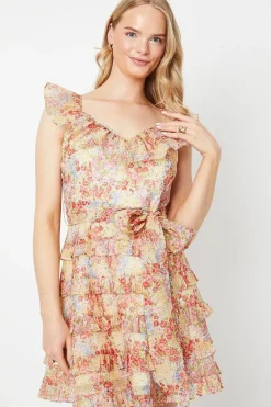 Ditsy Floral Ruffle Organza Mini Dress