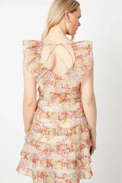 Ditsy Floral Ruffle Organza Mini Dress