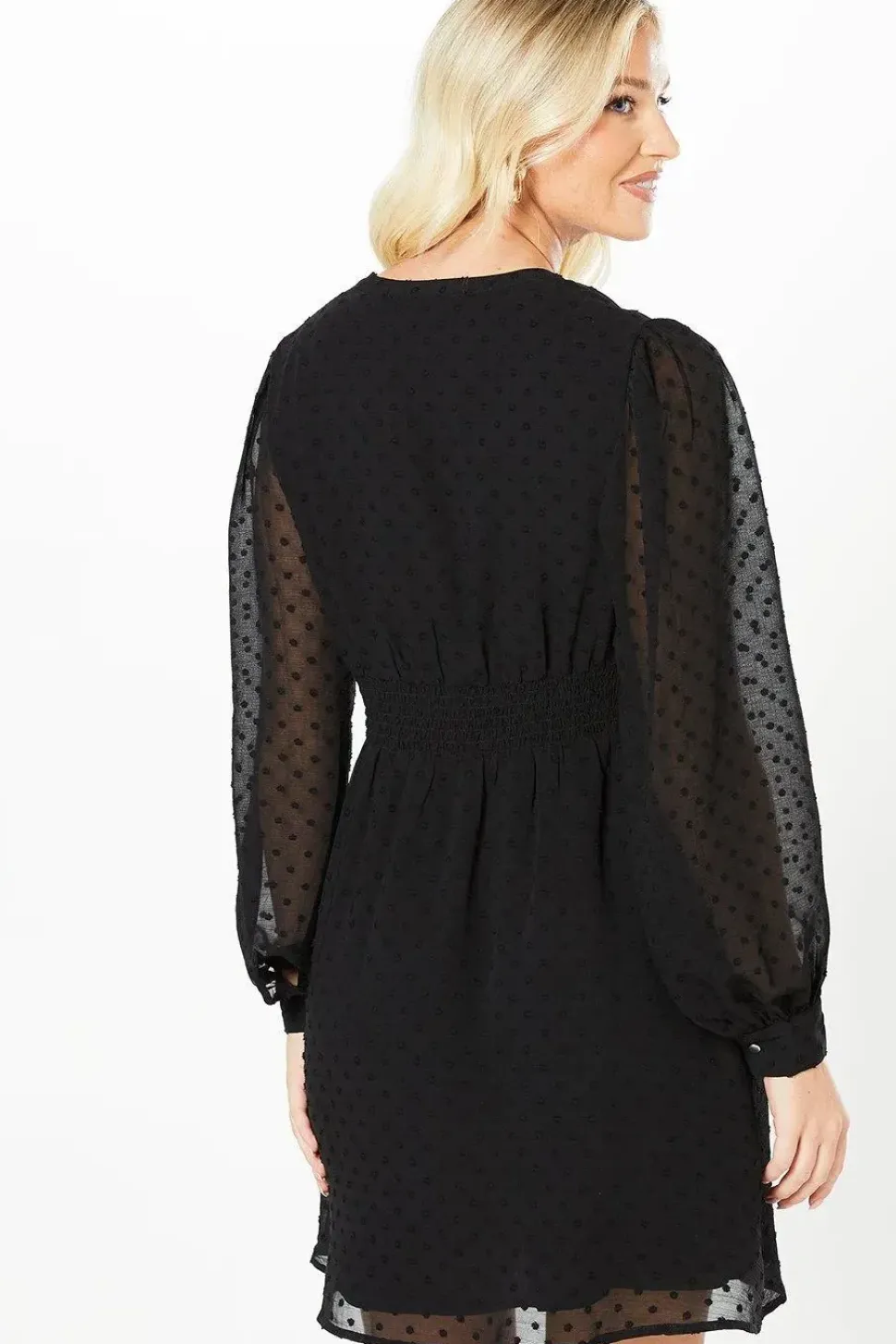 Dobby Chiffon Long Sleeve Shirred Waist Mini Dress