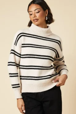 Double Stripe Roll Neck Jumper