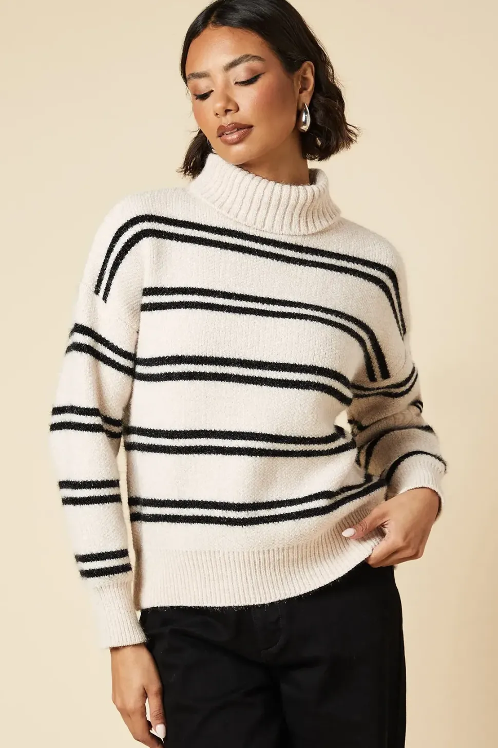 Double Stripe Roll Neck Jumper