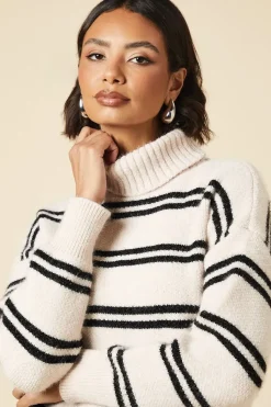 Double Stripe Roll Neck Jumper