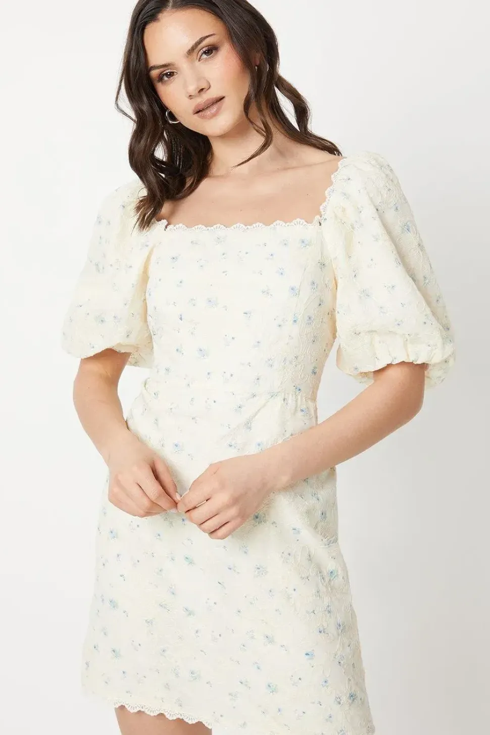 Embroidered Floral Puff Sleeve Mini Dress