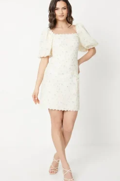 Embroidered Floral Puff Sleeve Mini Dress