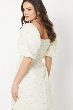 Embroidered Floral Puff Sleeve Mini Dress