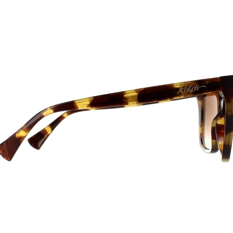Fashion Shiny Sponged Havana Brown Gradient Sunglasses