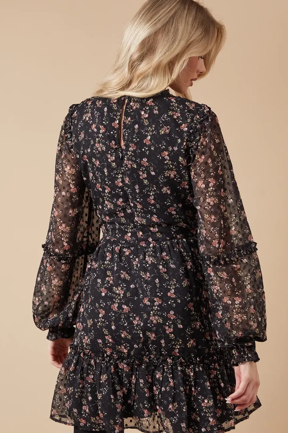 Floral Dobby Chiffon Ruffle Detail Mini Dress