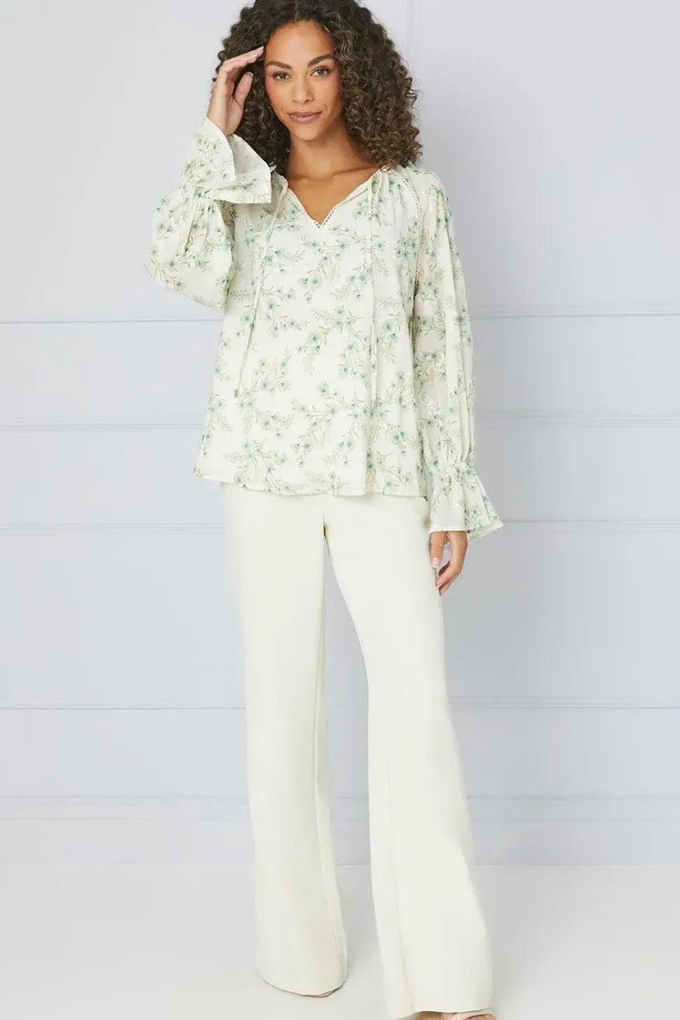 Floral Embroidered Balloon Sleeve Top