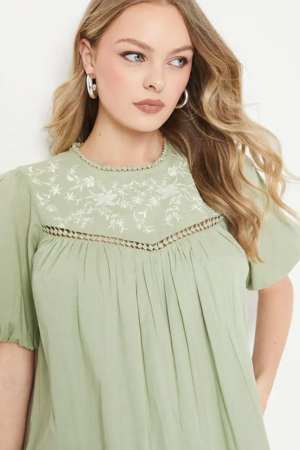 Floral Embroidered Puff Sleeve Mini Dress