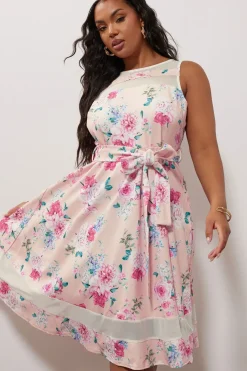Floral Print Skater Dress