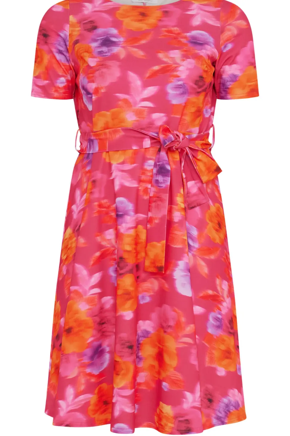 Floral Print Skater Dress