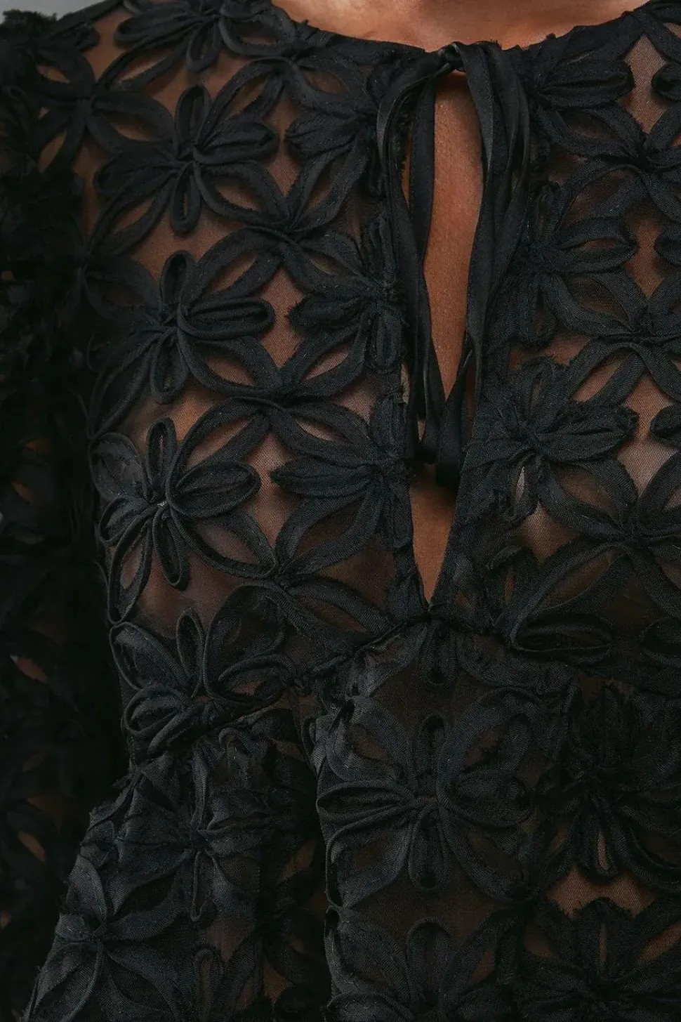 Flower Organza Sheer Tie Front Blouse