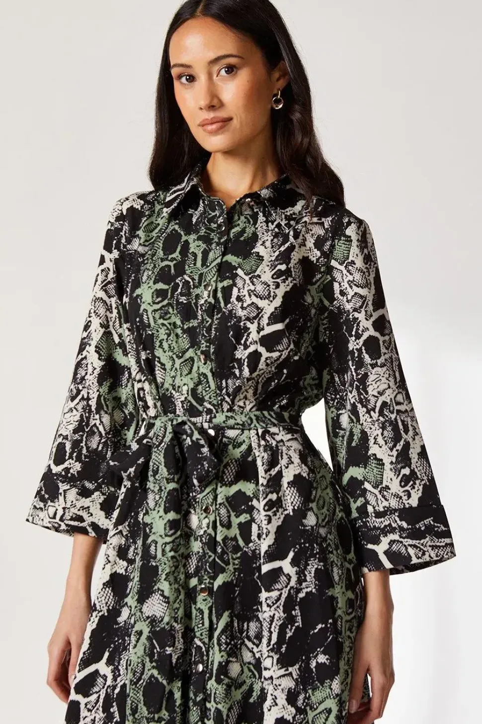 Green Snake Shirt Dress