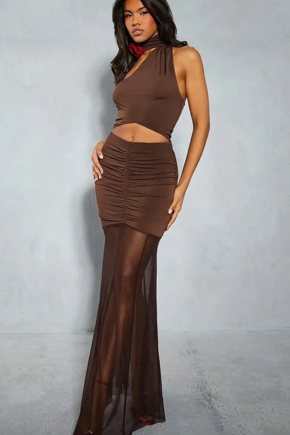 Halter Neck Corsage Ruched Mesh Maxi Dress