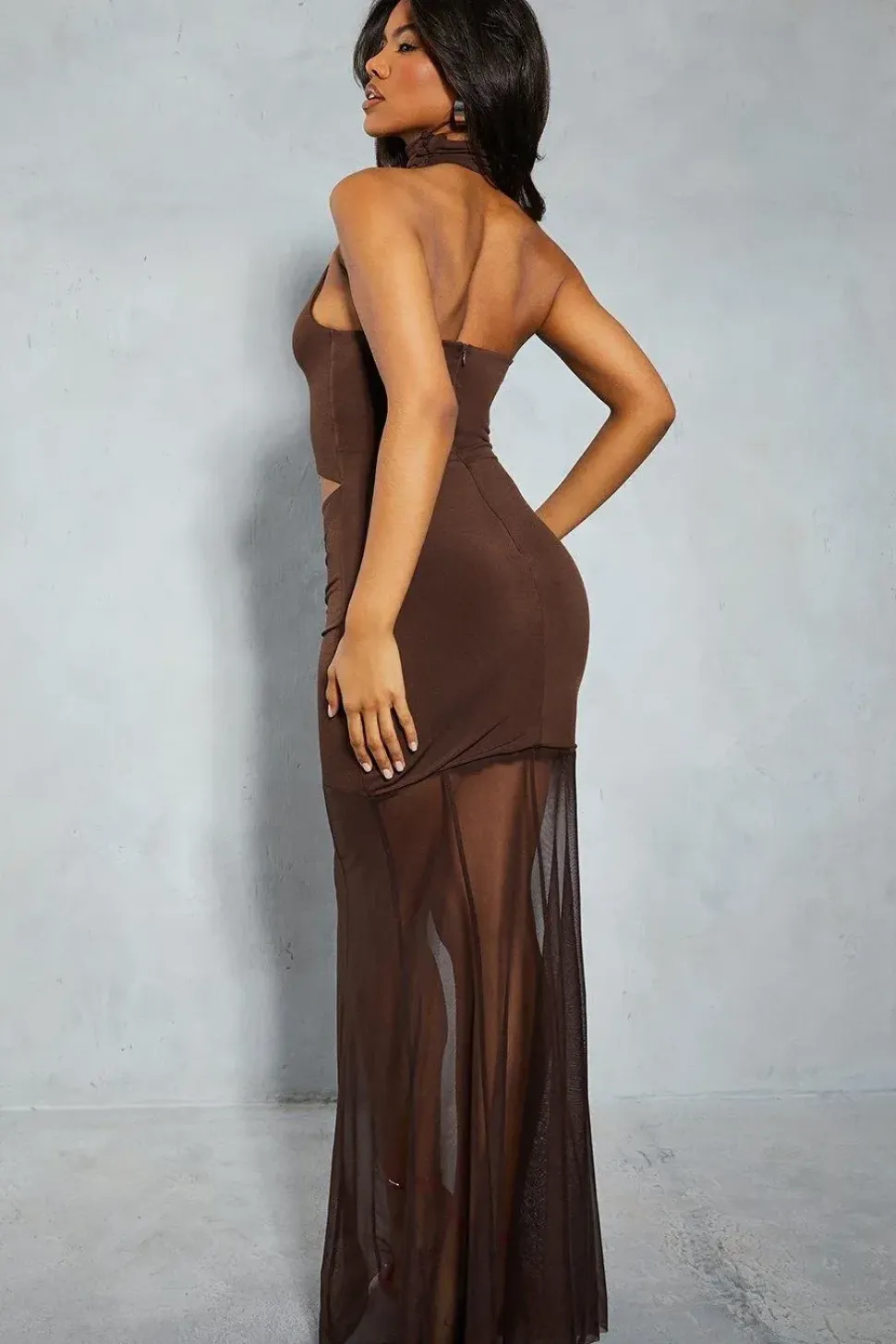 Halter Neck Corsage Ruched Mesh Maxi Dress