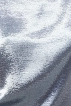 High Shine Metallic Grown On Sleeve Midi Dress
