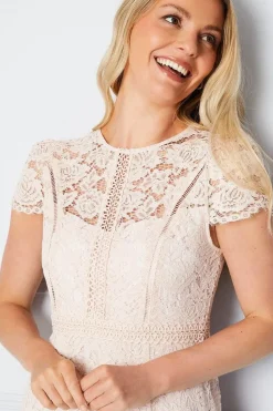 Lace Fit And Flare Midi Dress