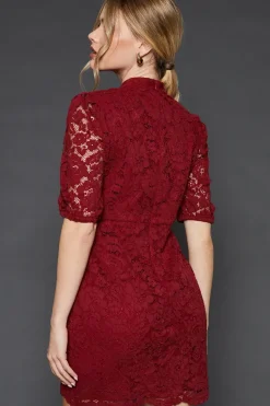 Lace High Neck Short Sleeve Mini Dress