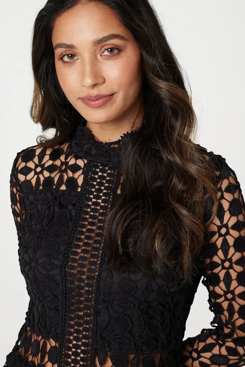 Lace Semi Sheer Skater Dress