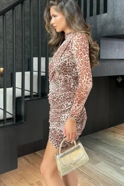 Leopard Print Long Sleeve Ruched Mesh Mini Dress