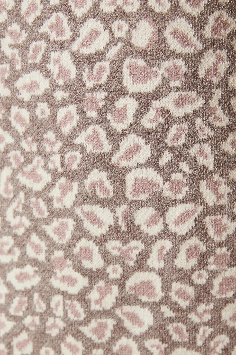 Leopard Print Mini Dress