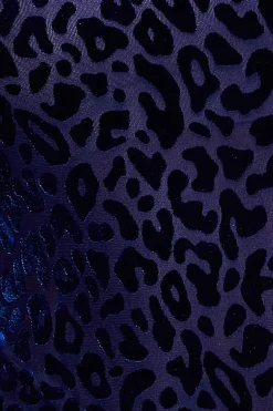 Leopard Velvet Burnout Long Sleeve Top