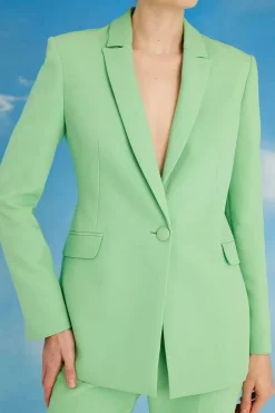 Lisa Tan Single Breasted Fitted Jacket