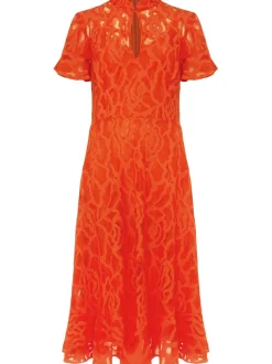Lulu Floral Lace Dress-Lace