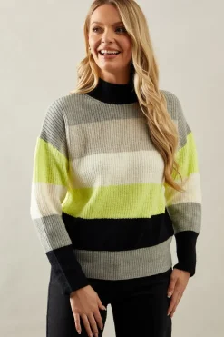 Multi Stripe High Neck Jumper