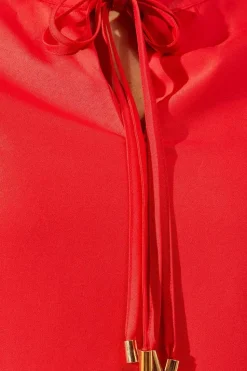 Neck Tie Flute Sleeve Shift Dress