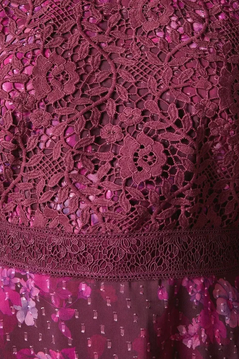 Occasion Floral Lace Bodice Mini Dress